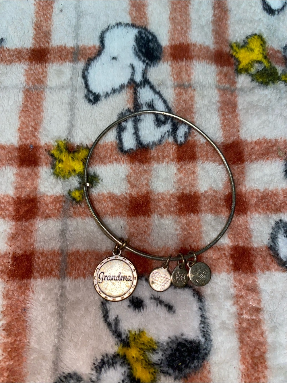 Alex and Ani Gold-Tone Grandma Charm Bangle